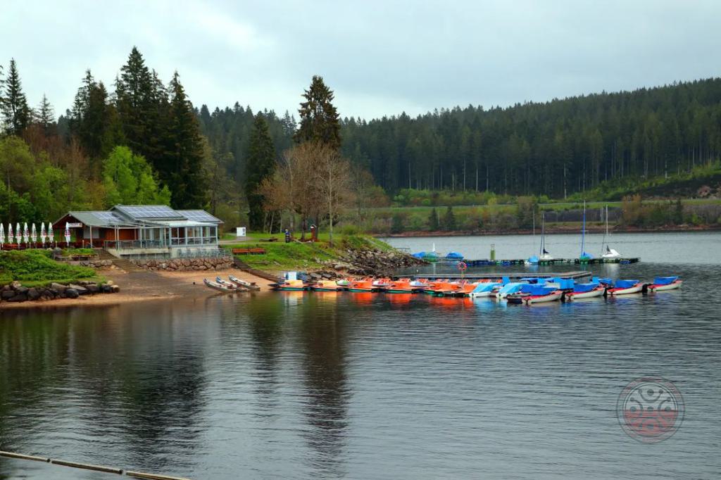 Lago Schluchsee, el mayor de la Selva Negra