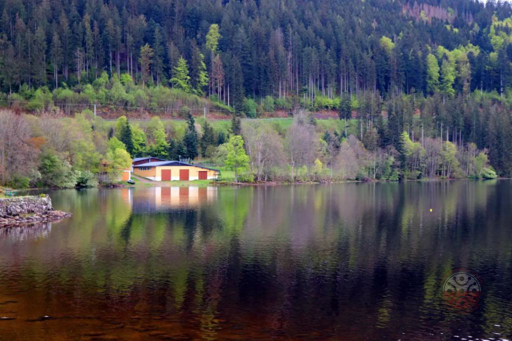 Lago Titisee