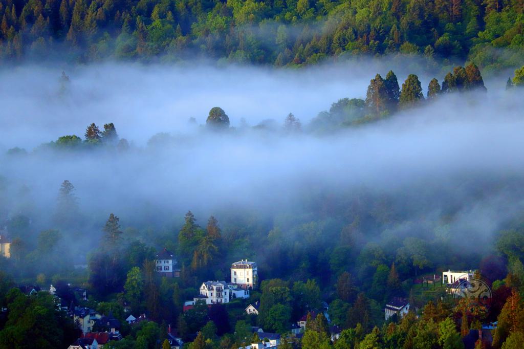 Amanecemos en los dominios del Castillo de Hohenbaden en Baden-Baden