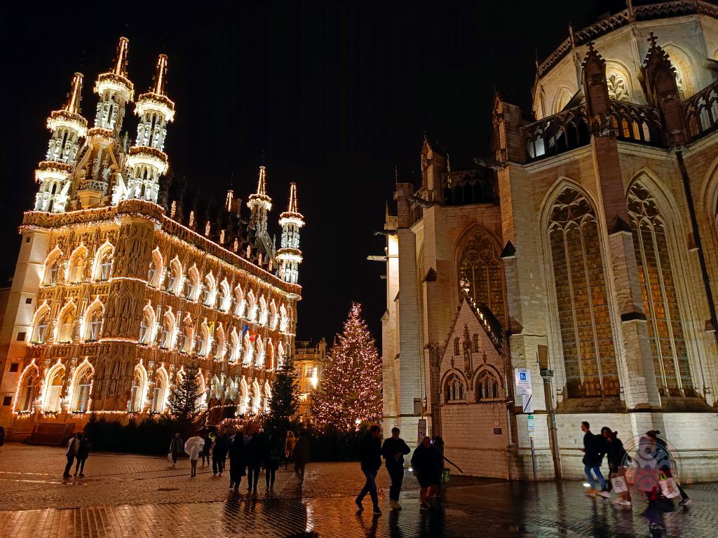 Lovaina, la ciudad más universitaria y cervecera de Bélgica