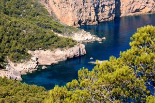 Ibiza, biodiversidad y cultura.